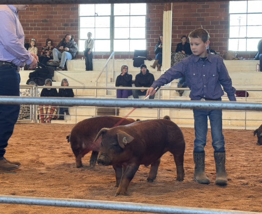 SPOTLIGHT ON KENT CO LIVESTOCK SHOW