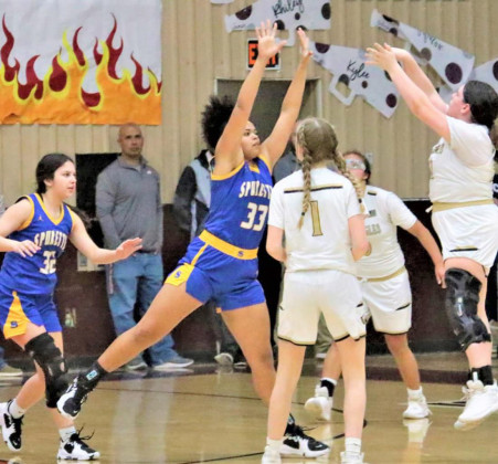 SPOTLIGHT ON GIRLS PLAYOFFS