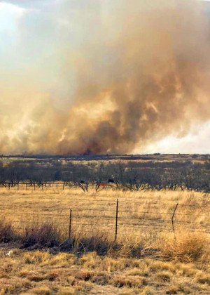 Dickens county grass fire burns 2,300 acres; houses and livestock saved
