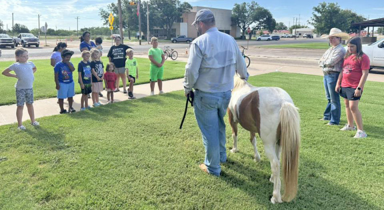 Livestock at the library