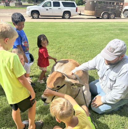 Livestock at the library