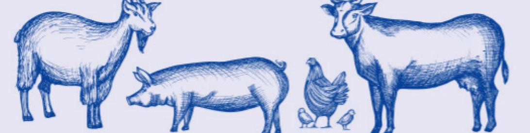 2022 Kent County Jr. Livestock Show dates set