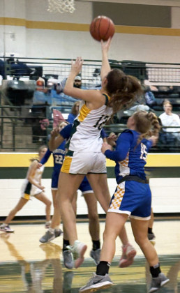 SPUR REBOUND Erin McGalliard (15) fights for rebounding position. | SUE JANE SULLIVAN