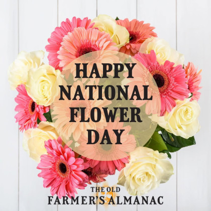 MARK MARCH 21 to celebrate National Flower Day, according to the Old Farmers Almanac. | COURTESY PHOTO
