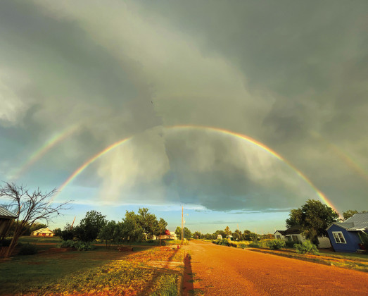 SPOTLIGHT ON SUMMER SKIES
