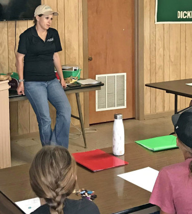 Dickens 4-H holds first of 5 summer day camps