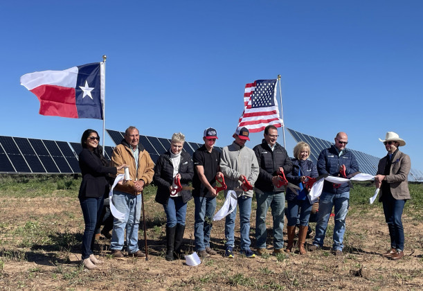 Texas Solar Nova cuts ribbon on 452MW solar facility in Kent County
