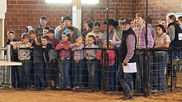 SPOTLIGHT ON KENT LIVESTOCK SHOW