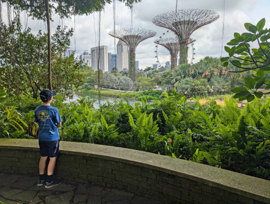GREEN SPACE In Singapore, visitors are overwhelmed by the diversity of plants and bright colors — even in indoor spaces. | DAVID PAFFORD PHOTO