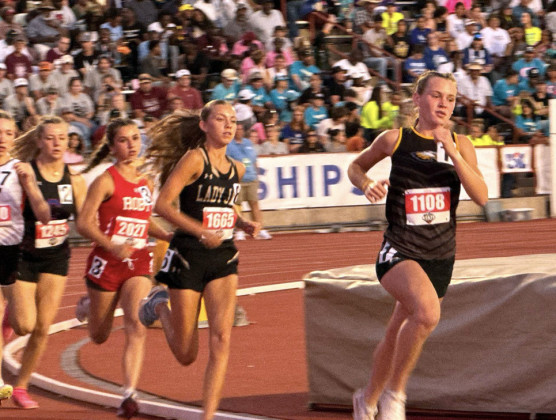 SPOTLIGHT ON STATE TRACK