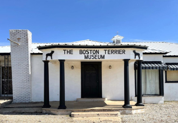 Floydada’s Boston Terrier Museum featured on ‘Texas Bucket List’