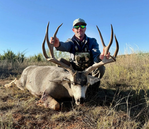 JAY TAYLOR, MULE DEER