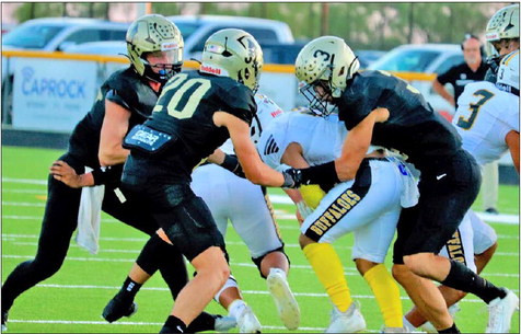 Jaybirds Stampede Buffaloes