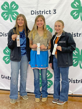 Dickens Co. 4-H wins varied honors