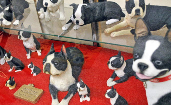 Floydada’s Boston Terrier Museum featured on ‘Texas Bucket List’