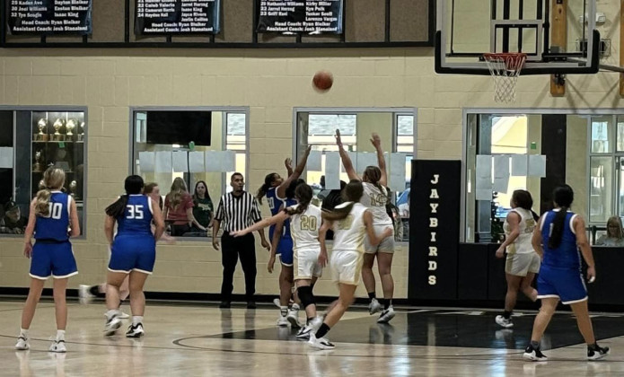 LADY JAYS