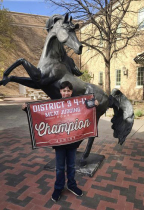 GRAND CHAMPION Calvin Hays Champman won Grand Champion Junior Individual in 4-H Meat Judging last week. | COURTESY PHOTO