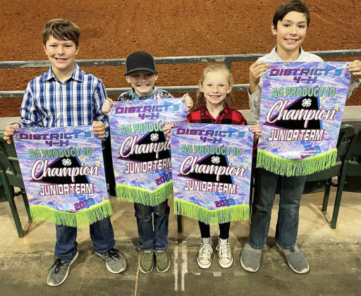Dickens 4-H wins honors at ag contests