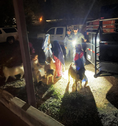 SPOTLIGHT ON SPUR LIVING NATIVITY