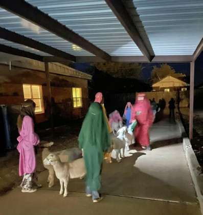 SPOTLIGHT ON SPUR LIVING NATIVITY