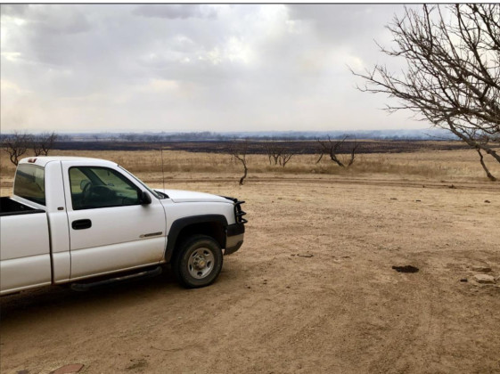 Dickens county grass fire burns 2,300 acres; houses and livestock saved