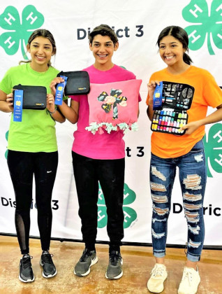 Dickens Co. 4-H wins varied honors
