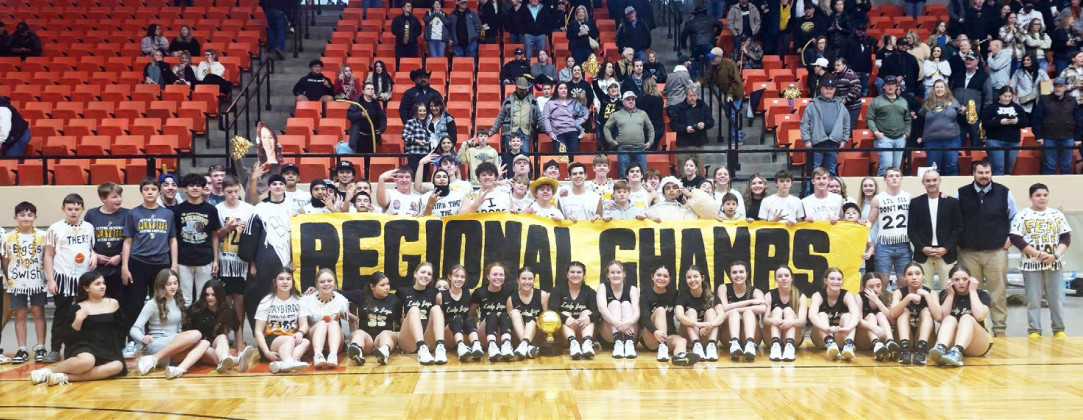 AREA CHAMPIONS
