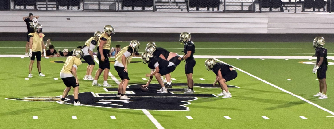 SPOTLIGHT ON MIDNIGHT MADNESS