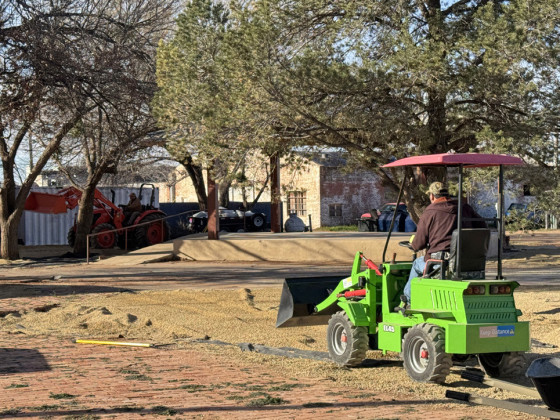 SPOTLIGHT ON SPUR RICKELS PARK LANDSCAPING