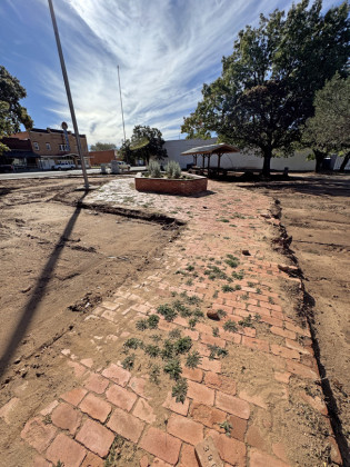 SPOTLIGHT ON SPUR RICKELS PARK LANDSCAPING