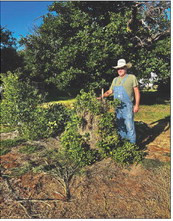 THINKSPRING It’s cold in January—but already time to plan for this spring’s Kent County Community Garden, according to volunteers. Last year’s yield was split among volunteers but also shared with senior citizens. | COURTESY PHOTOS