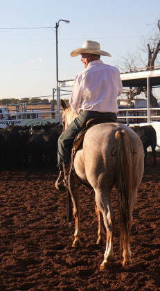 SPOTLIGHT ON 103RD MOTLEY-DICKENS OLD SETTLERS RODEO &amp;amp; REUNION
