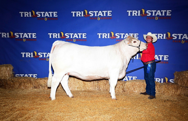 HEIFER HONOR