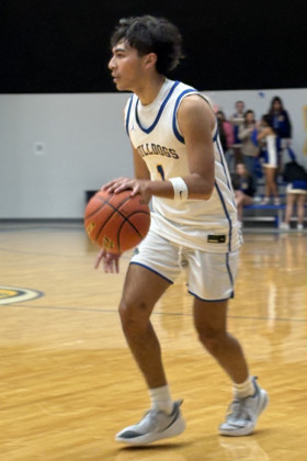 Wade McGalliard (4) rebounds in the Bulldogs loss to Valley January 17.