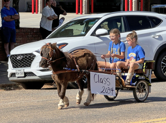 PONYCART