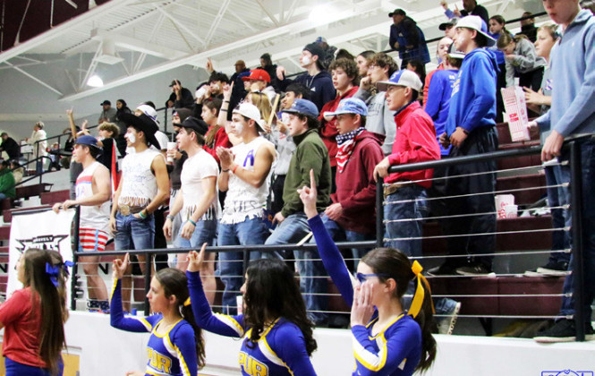 SPOTLIGHT ON SPURETTES BASKETBALL