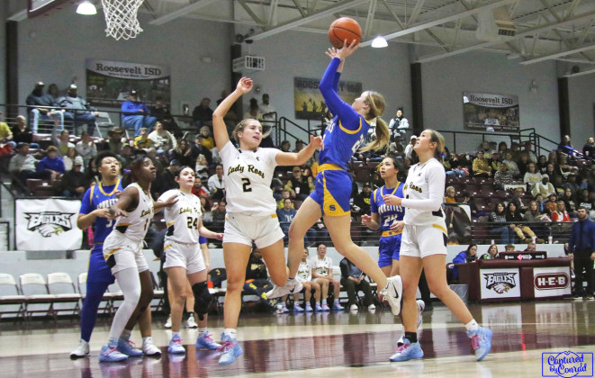 SPOTLIGHT ON SPURETTES BASKETBALL