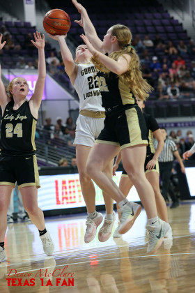 Winning season ends with Lady Jays loss in regional final to #1 Gordon