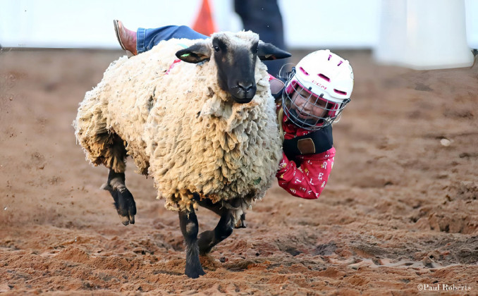 103 YEARS OF TRADITION The Motley-Dickens Old Settlers Reunion and Rodeo is slated to take place in Roaring Springs August 27-29, with ranch rodeos, parade, live music and dancing, a reunion which recognizes those coming back home, vendor booths and much more. | FILE PHOTO, PAUL ROBERTS
