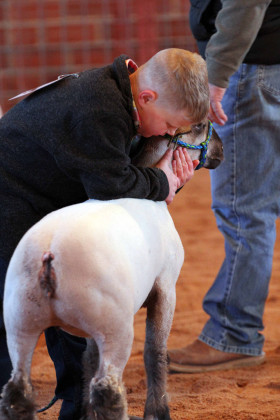 A LITTLE LOVE for animals raised, trained and groomed all yearlongistheessenceofjunior livestock shows happening all around the state this time of year. In this week’s Texas Spur, we’re covering the Winners Circle results from the Kent County show, held Jan. 10-11 in Clairemont— with thanks to our numerous media sponsors from around the region. FULL COVERAGE, PAGES 9, 10 | JOHNNA REYNOLDS