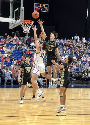 Jaybirds fly high to State victory