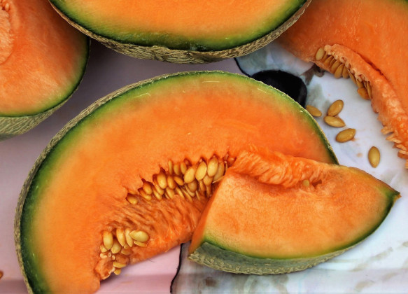 Harvesting just-right cantaloupes