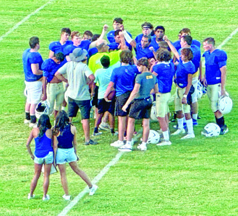 SPOTLIGHT ON MEET THE BULLDOGS