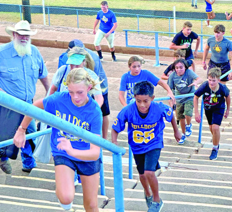 SPOTLIGHT ON MEET THE BULLDOGS