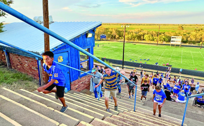 SPOTLIGHT ON MEET THE BULLDOGS
