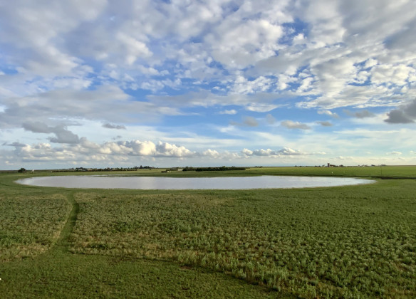 PLAYA FIELD DAY has been a popular learning experience for farmers and naturalists throughout the South Plains. The 2024 event is coming up May 16 in Floyd County. | COURTESY PHOTO