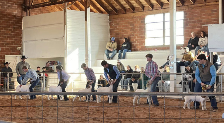SPOTLIGHT ON KENT LIVESTOCK SHOW