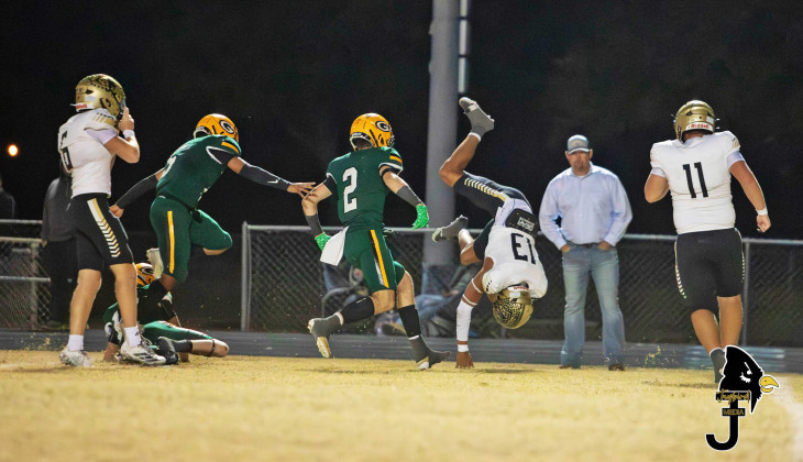 Stanaland, Vargas lead Jaybirds to bi-district trophy