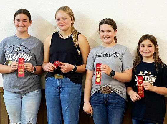 Kent County students advance in 4-H fashion events