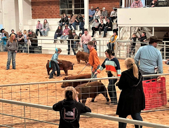 Kent Co. Livestock Show this weekend in Clairemont